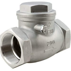 SS Swing Check Valve 316 Dubai UAE